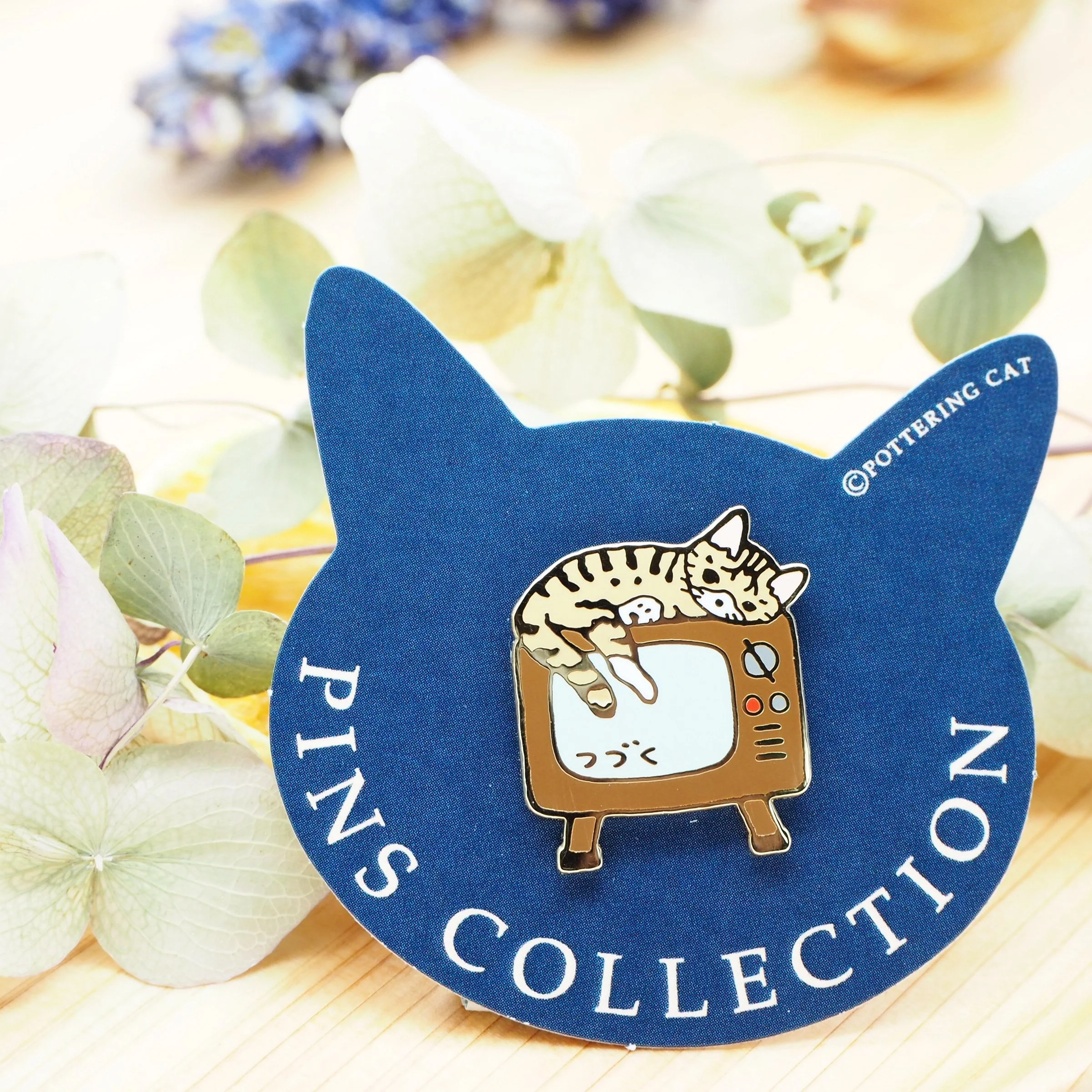 Pottering Cat / Cat Pin - Sleeping on TV