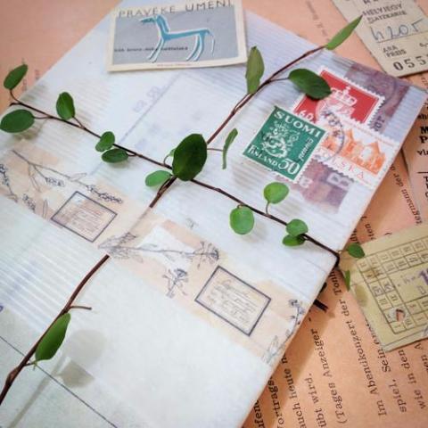 HUTTE Washi Tape - Botanical - Image 4