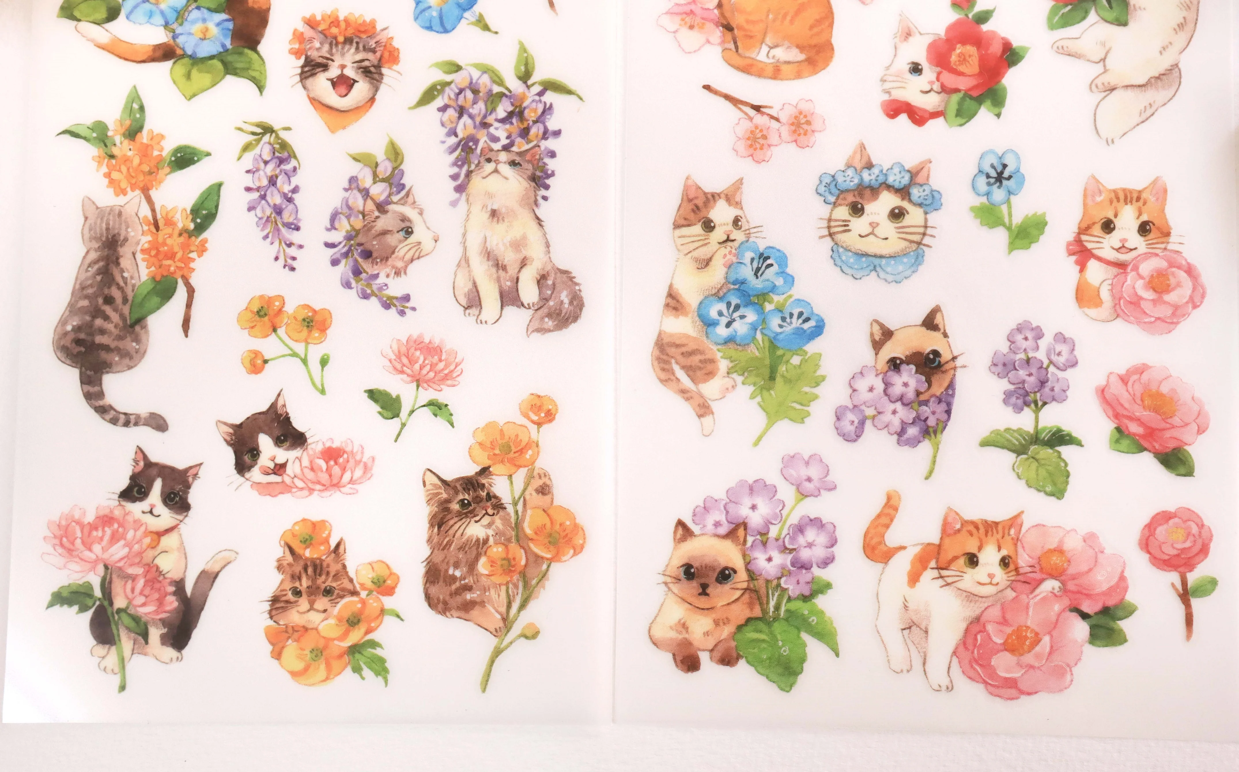 Print-on Stickers - Flower and Cat - Image 4