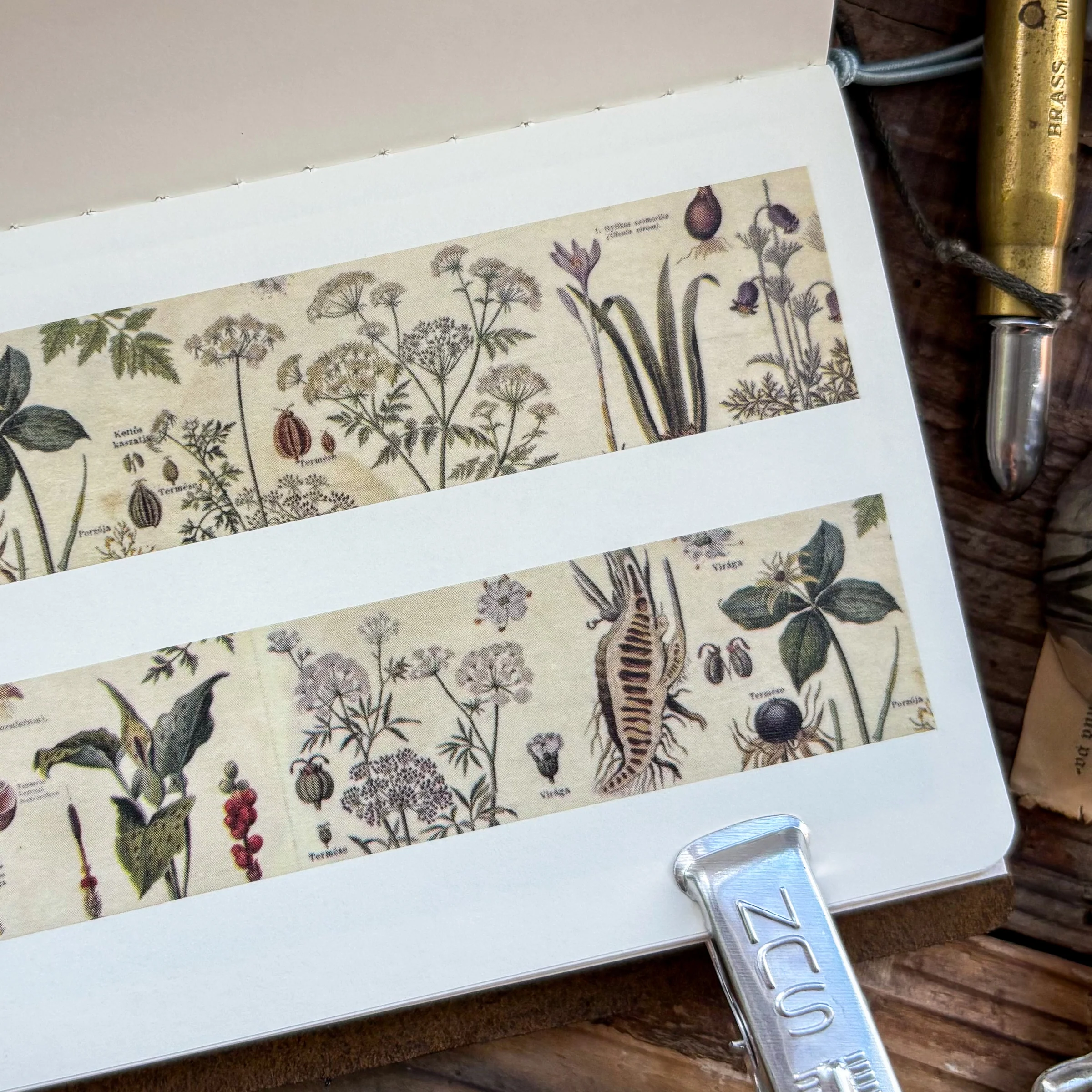 Sunny Sunday Washi Tape - Poison Plants - Image 3