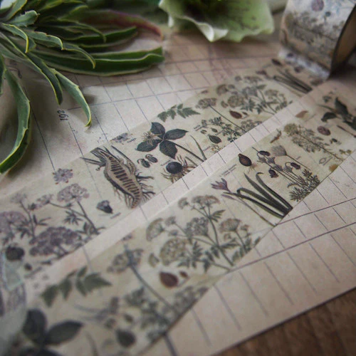 Sunny Sunday Washi Tape - Poison Plants - Image 5
