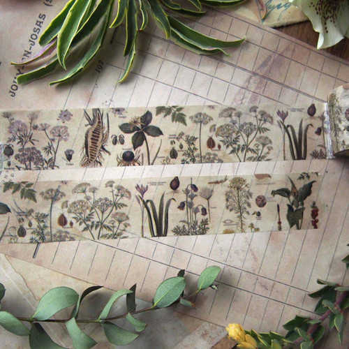 Sunny Sunday Washi Tape - Poison Plants - Image 7