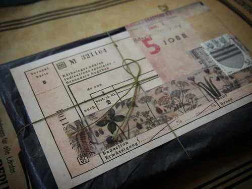 Sunny Sunday Washi Tape - Poison Plants - Image 9