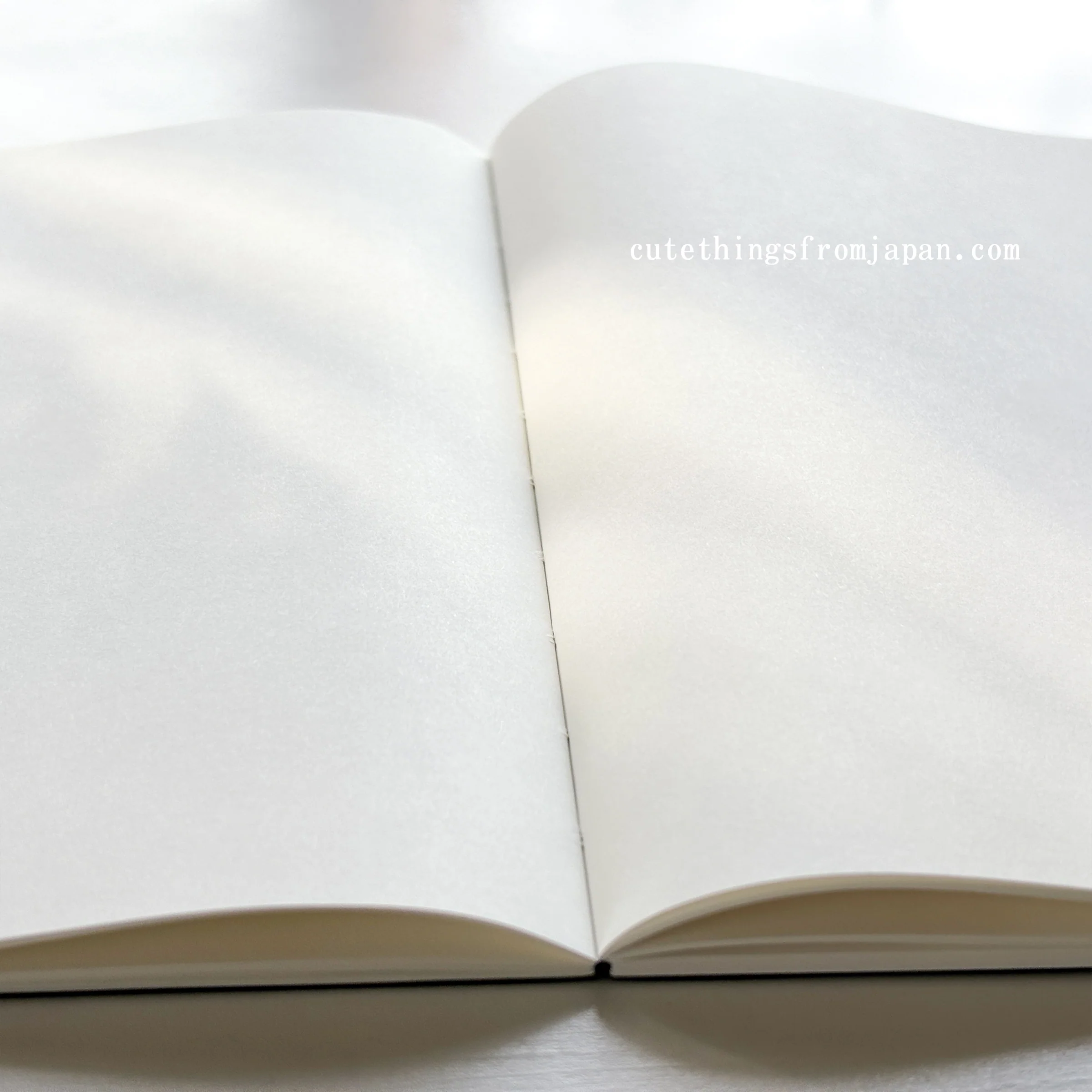 Tomoe River Notebook - A5 Plain FP (52g/m2) - Image 7