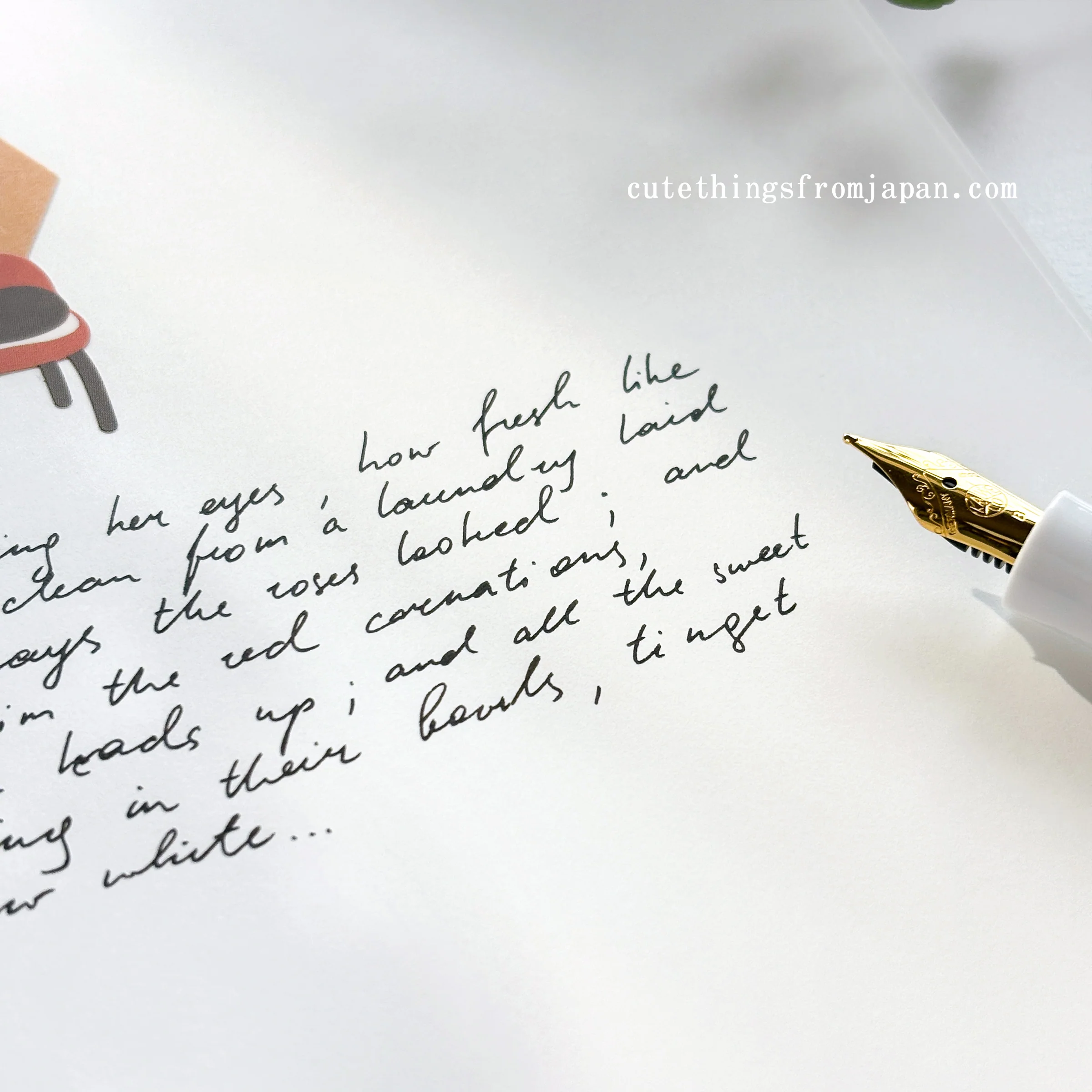 Tomoe River Notebook - A5 Plain FP (52g/m2) - Image 8