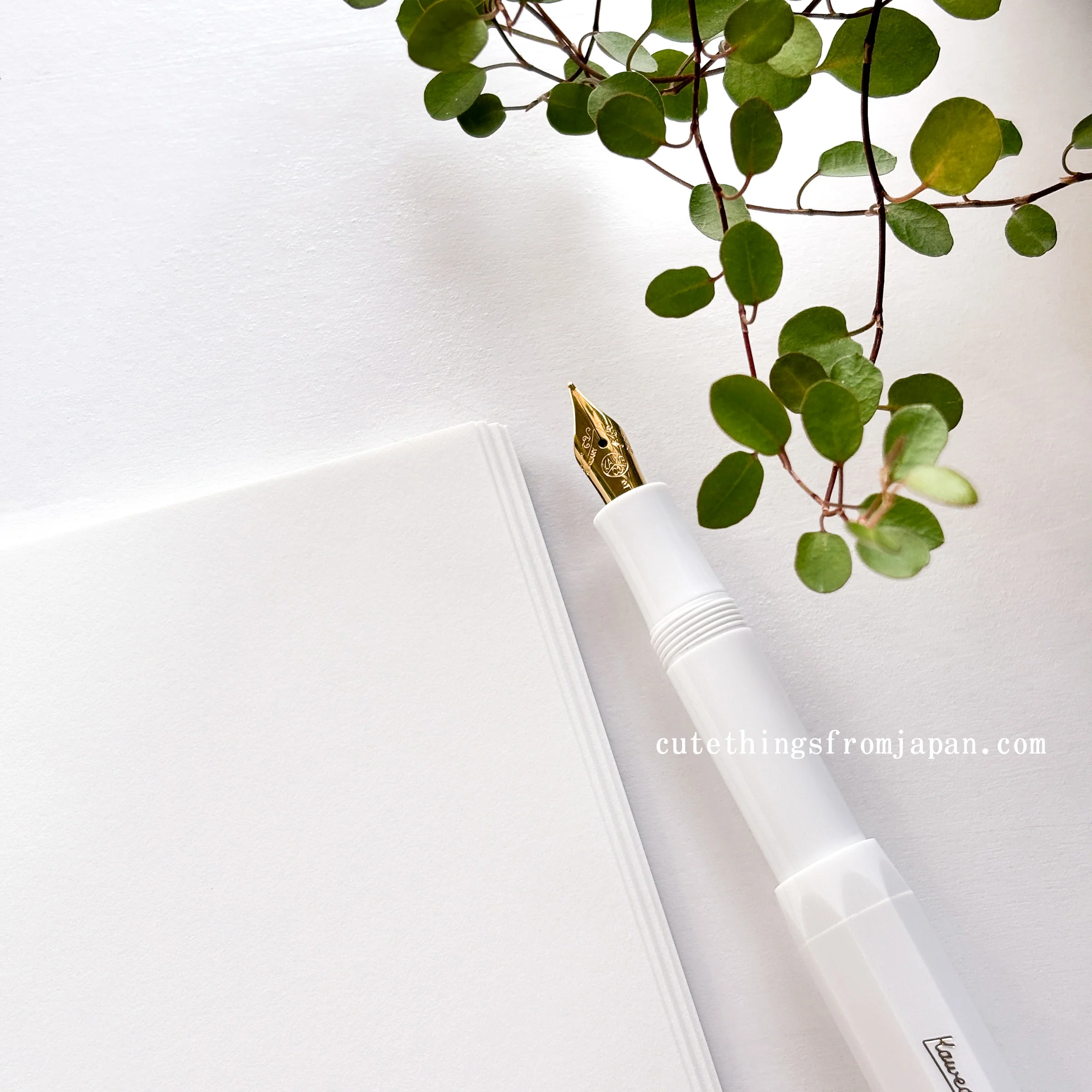 Tomoe River Notebook - A5 Plain FP (52g/m2) - Image 9