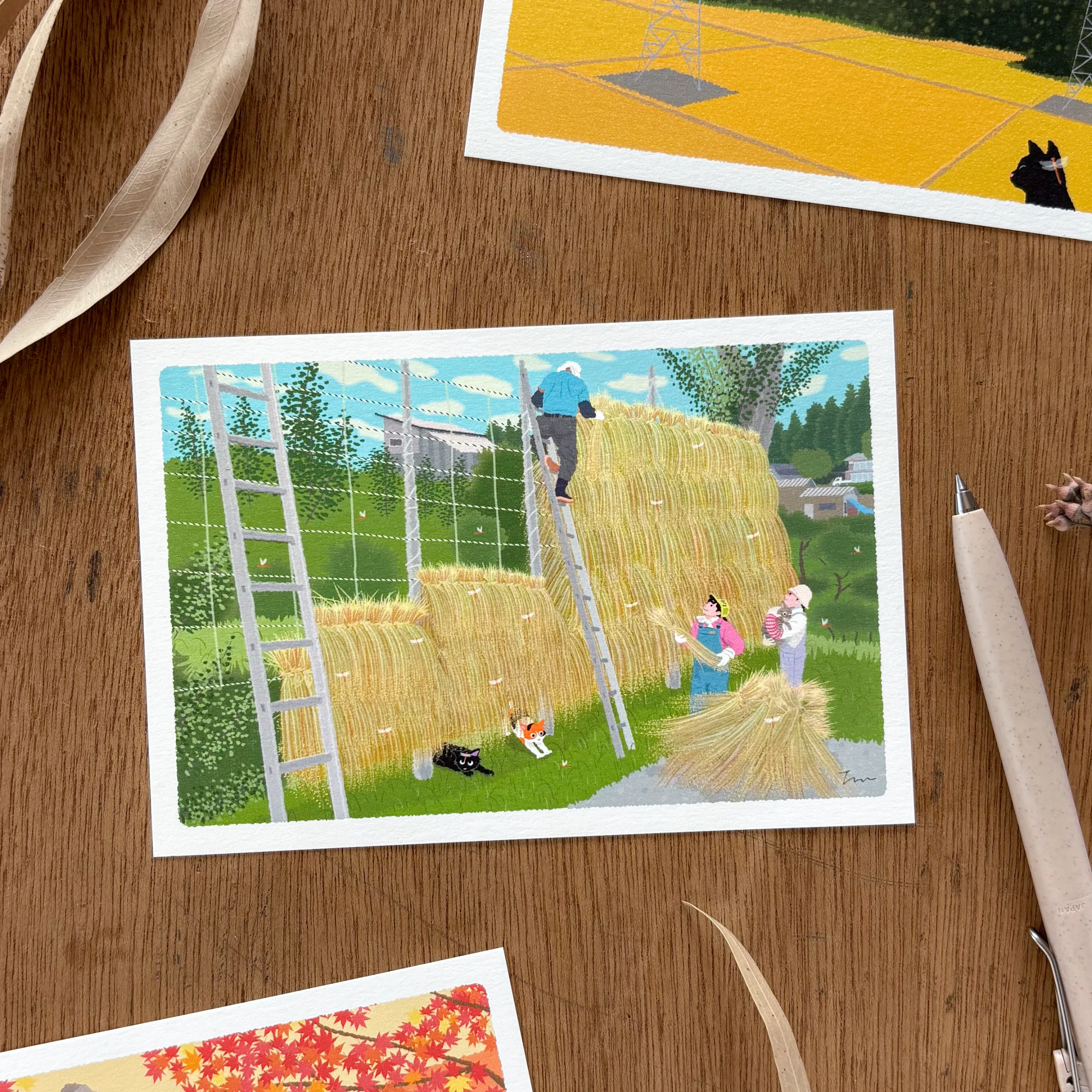 Toshinori Mori / Traveling Cat Postcard - Autumn / Harvest - Image 2